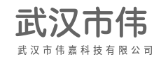 算法驱动，重塑高效生产力-武汉市伟嘉科技有限公司